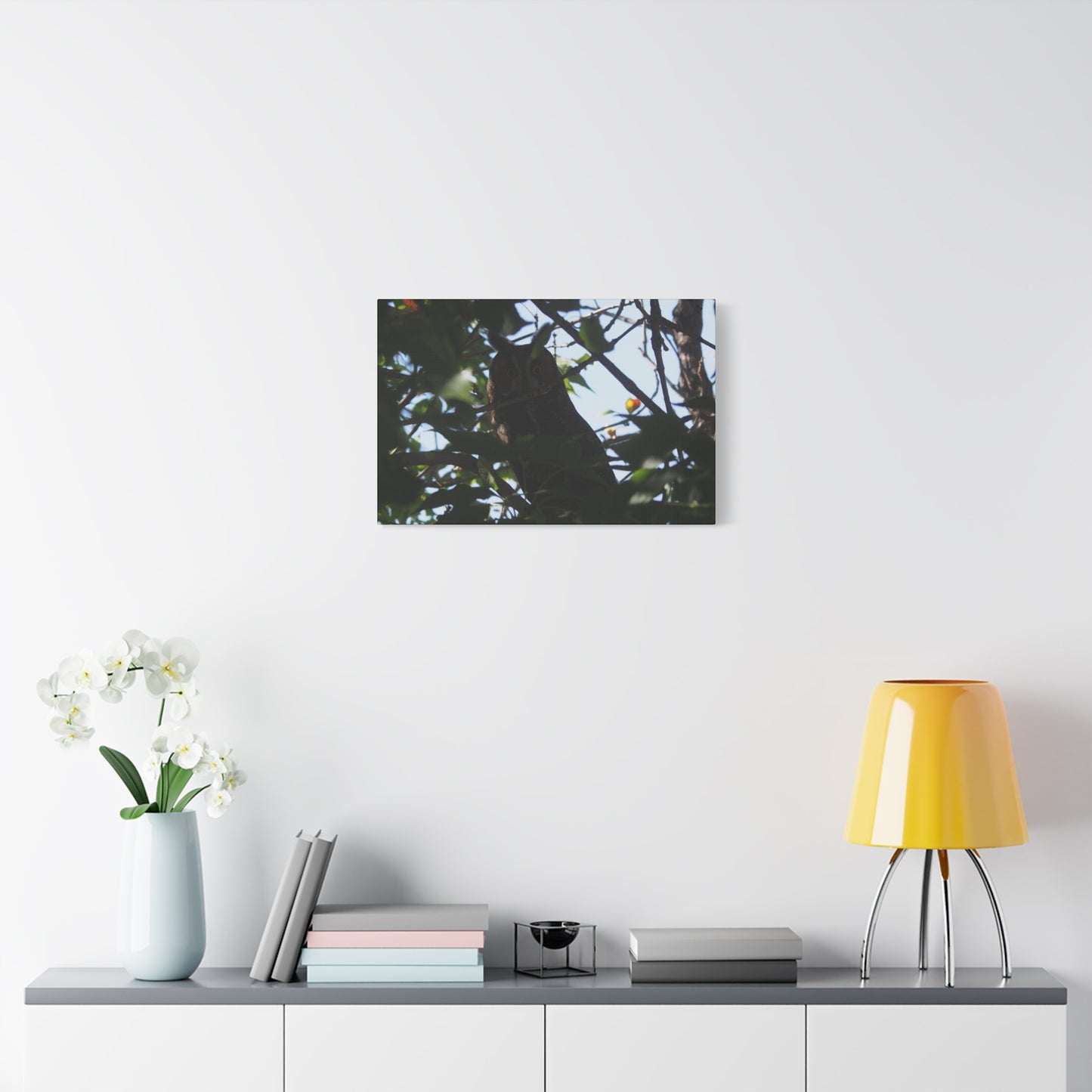 Canvas Print - Young Great Horned Owl Photo