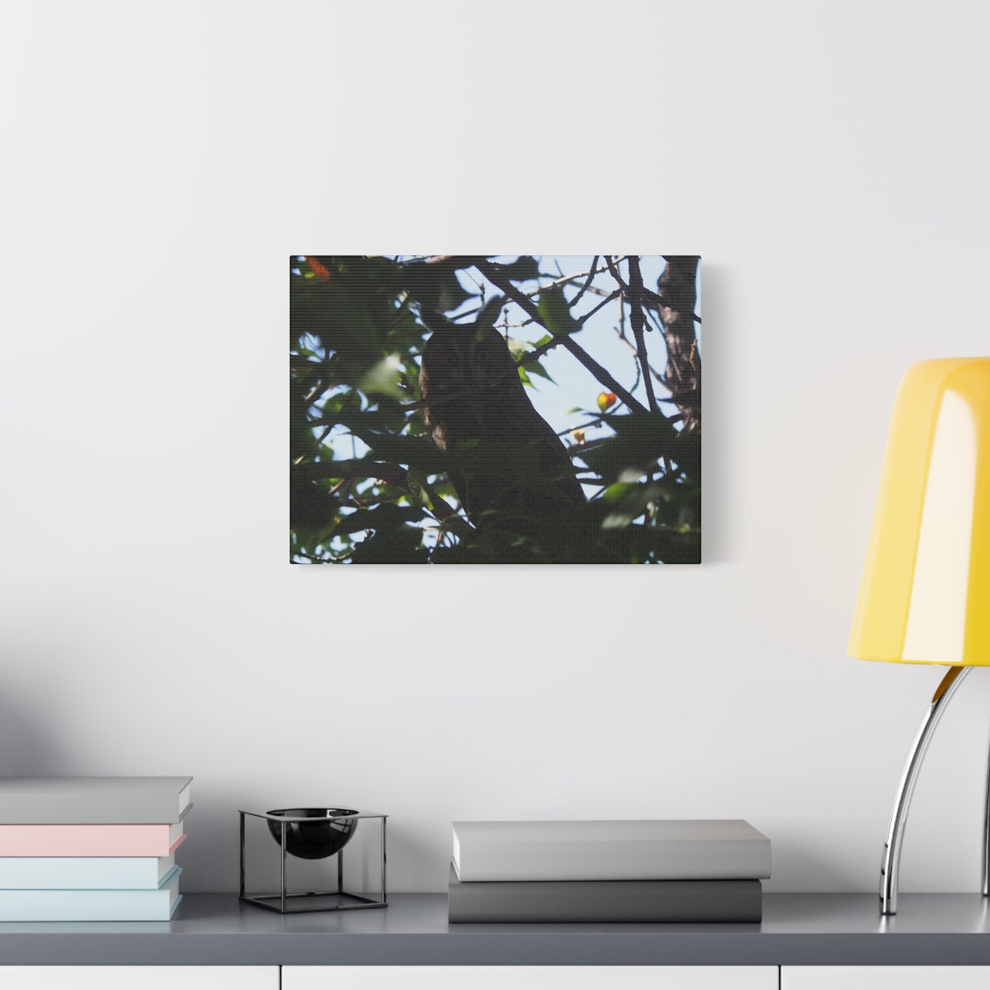 Canvas Print - Young Great Horned Owl Photo