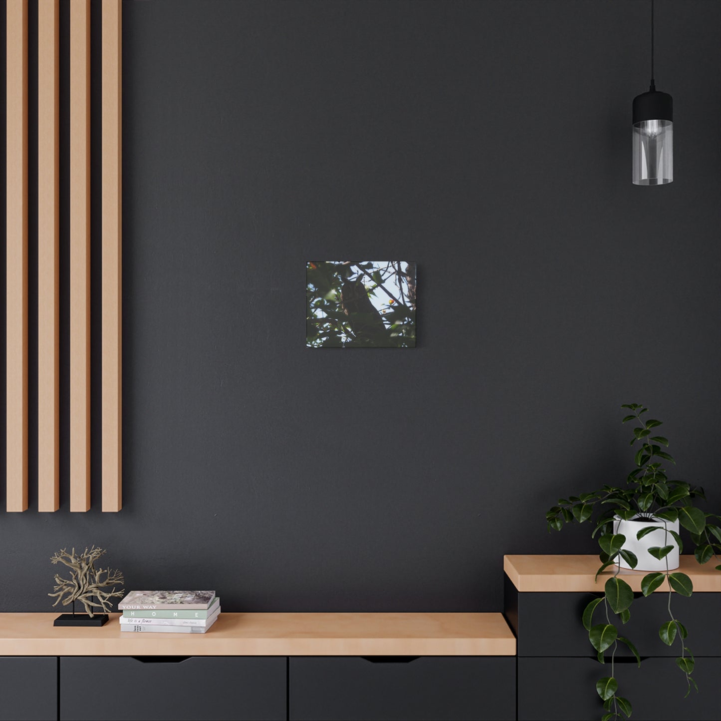 Canvas Print - Young Great Horned Owl Photo