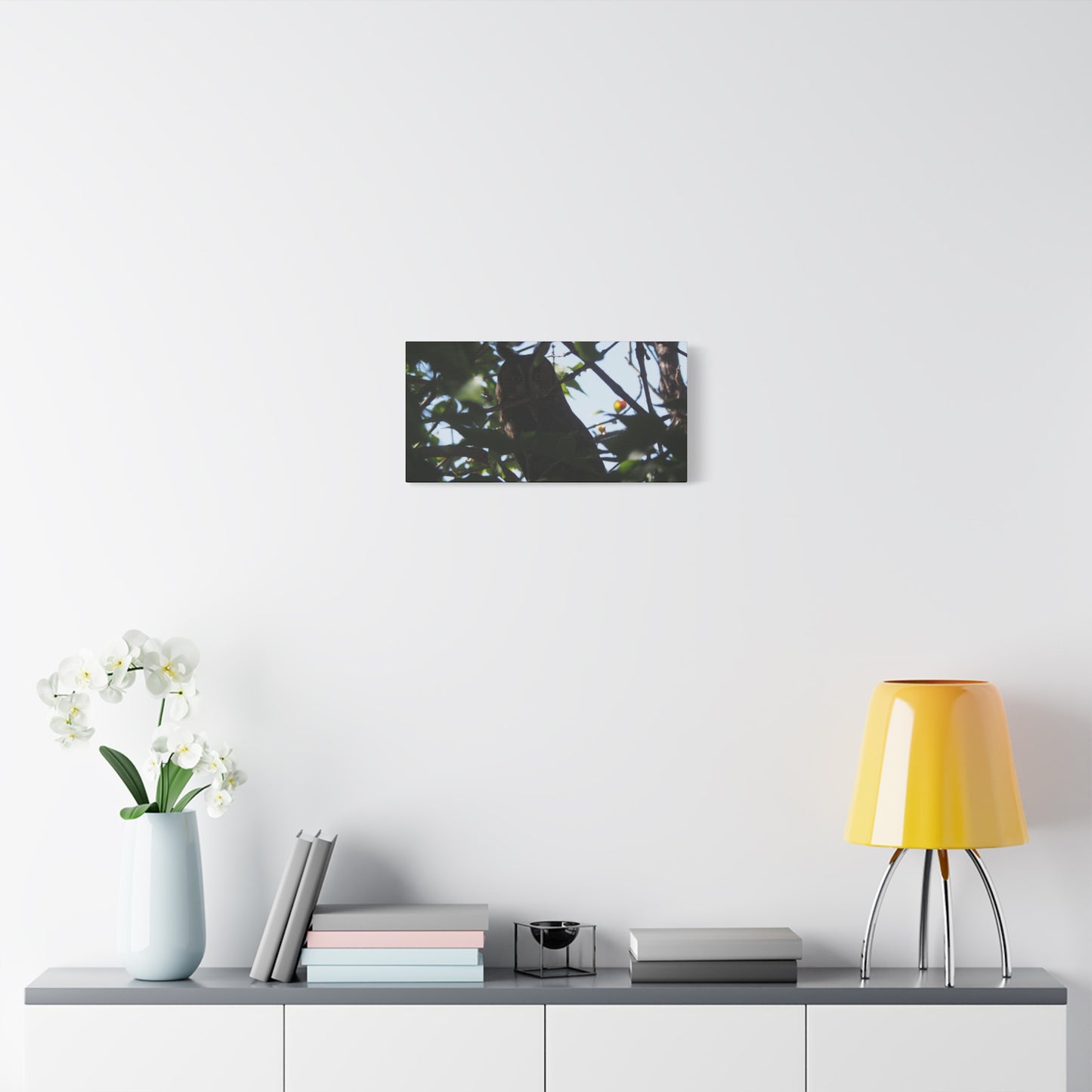 Canvas Print - Young Great Horned Owl Photo