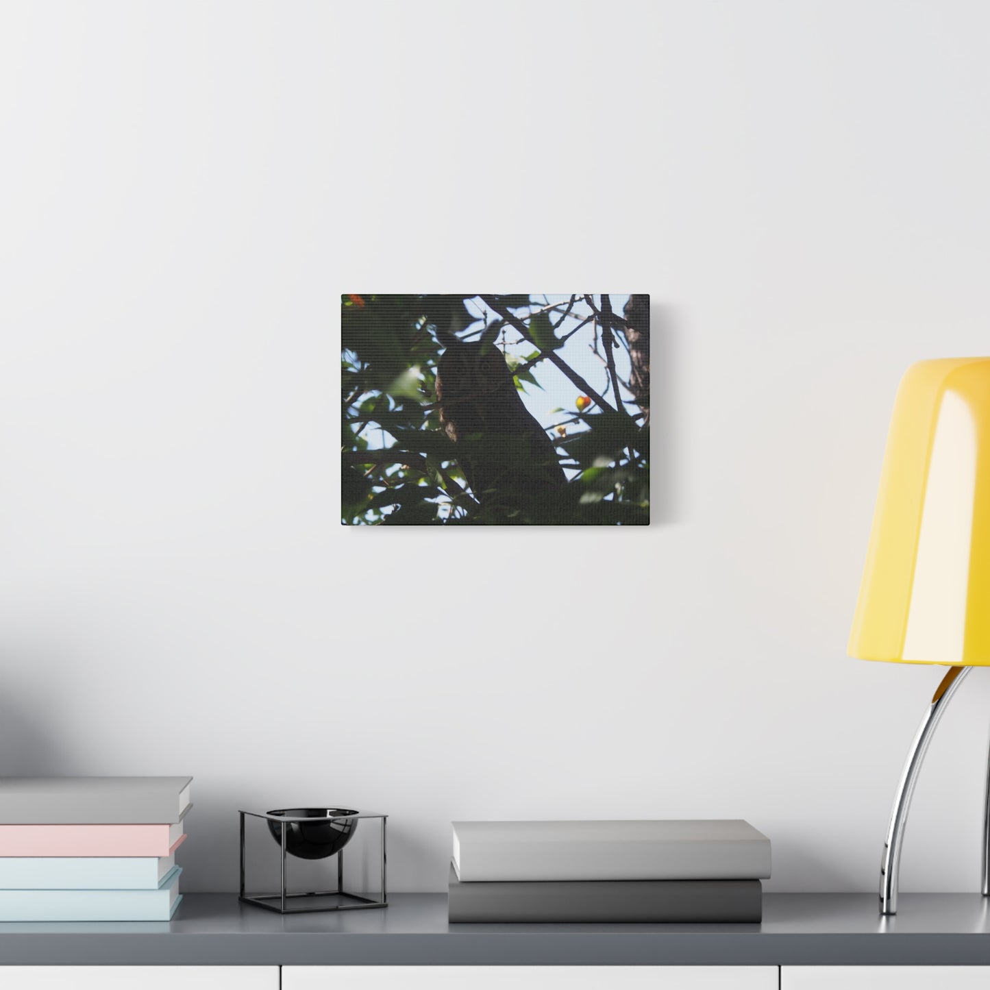 Canvas Print - Young Great Horned Owl Photo