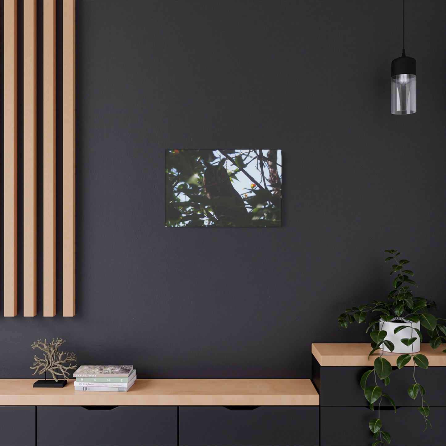 Canvas Print - Young Great Horned Owl Photo