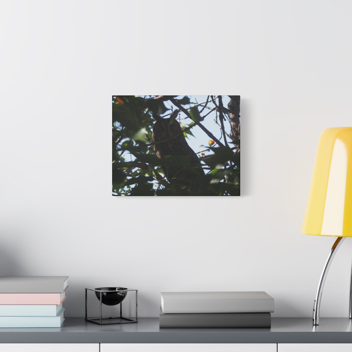 Canvas Print - Young Great Horned Owl Photo