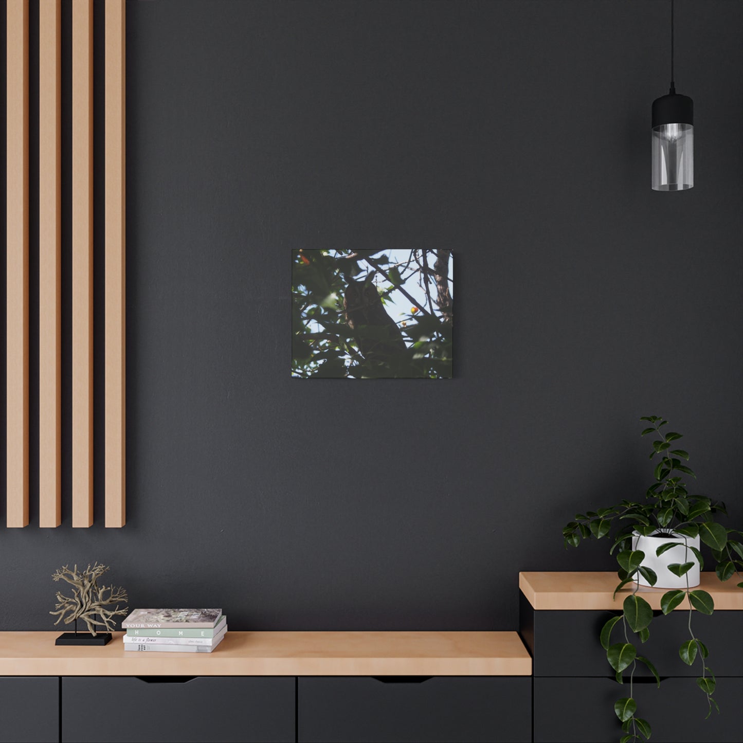 Canvas Print - Young Great Horned Owl Photo