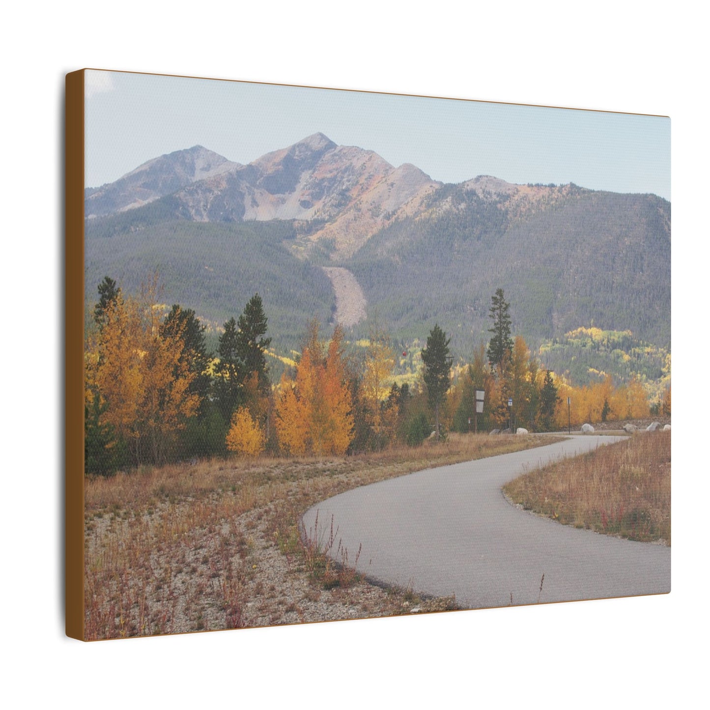 Canvas Print - Fall In Colorado