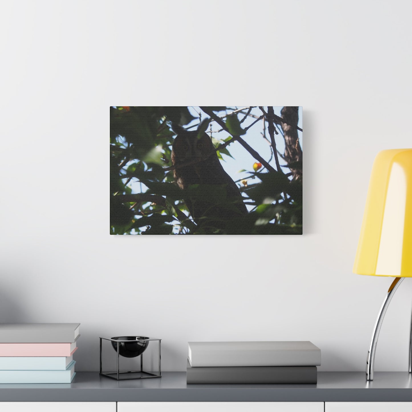 Canvas Print - Young Great Horned Owl Photo