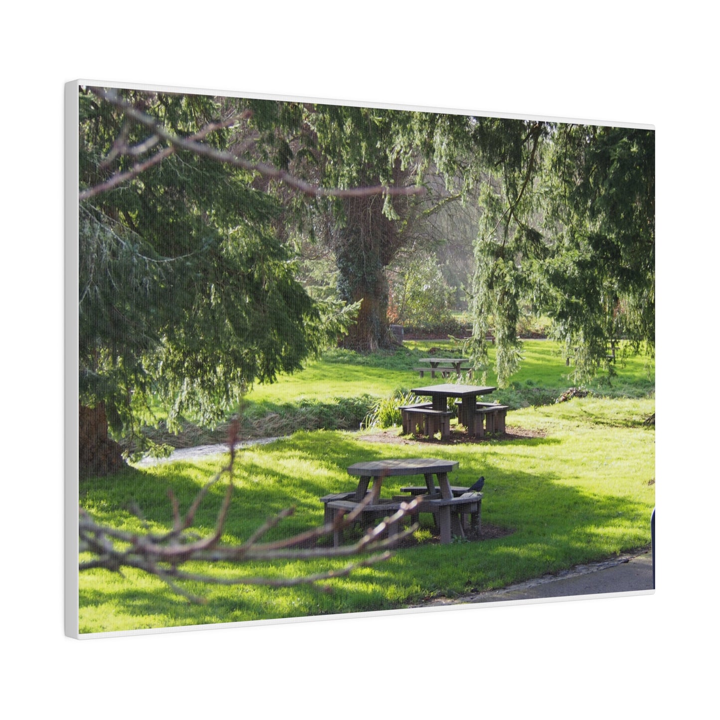 Irish Picnic: Matte Canvas, Stretched, 0.75"