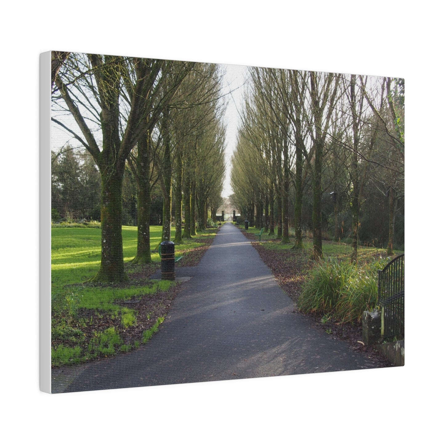 Irish Spring Park: Matte Canvas, Stretched, 0.75"