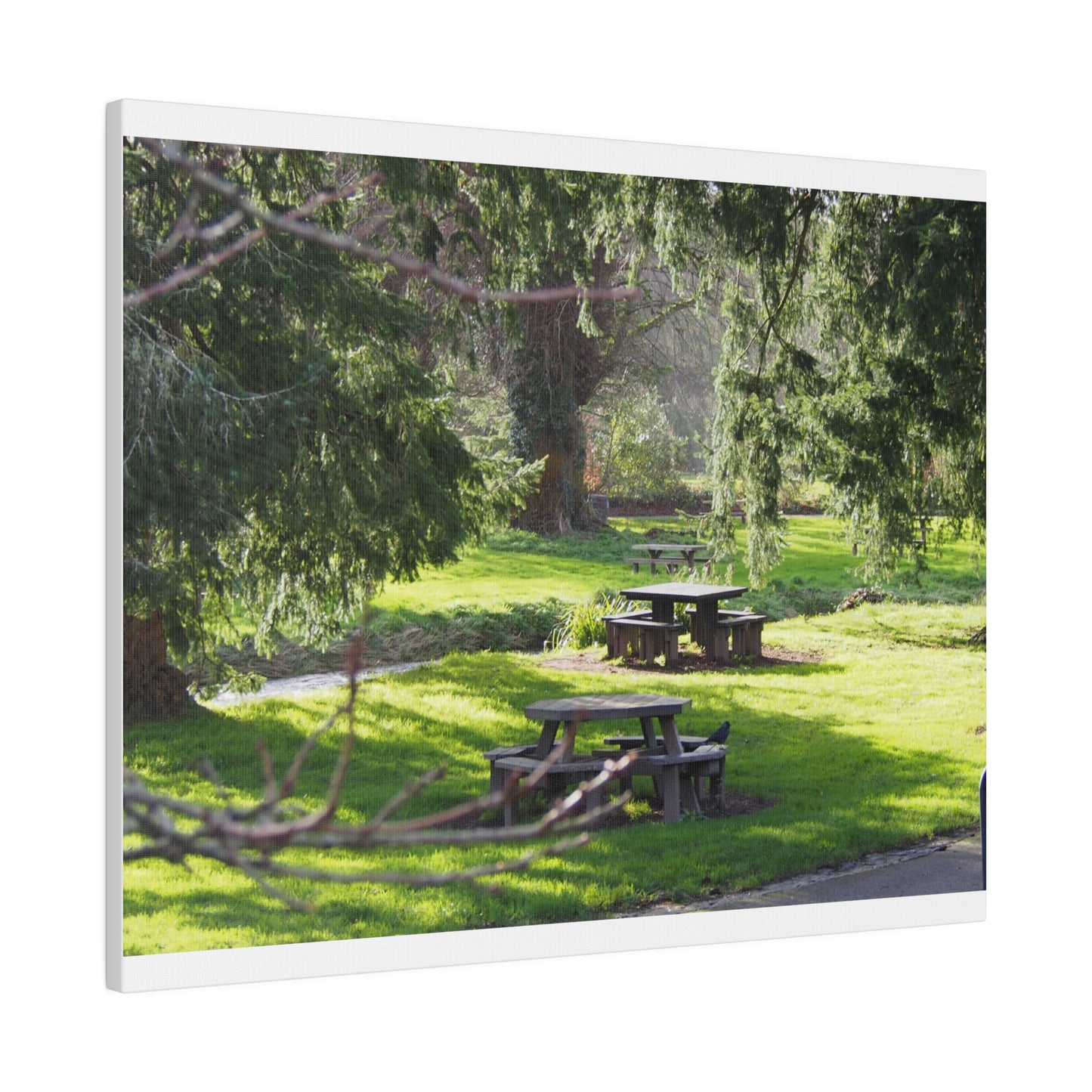 Irish Picnic: Matte Canvas, Stretched, 0.75"