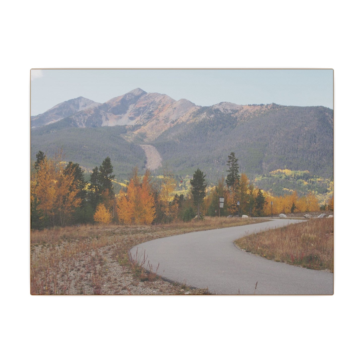 Canvas Print - Fall In Colorado