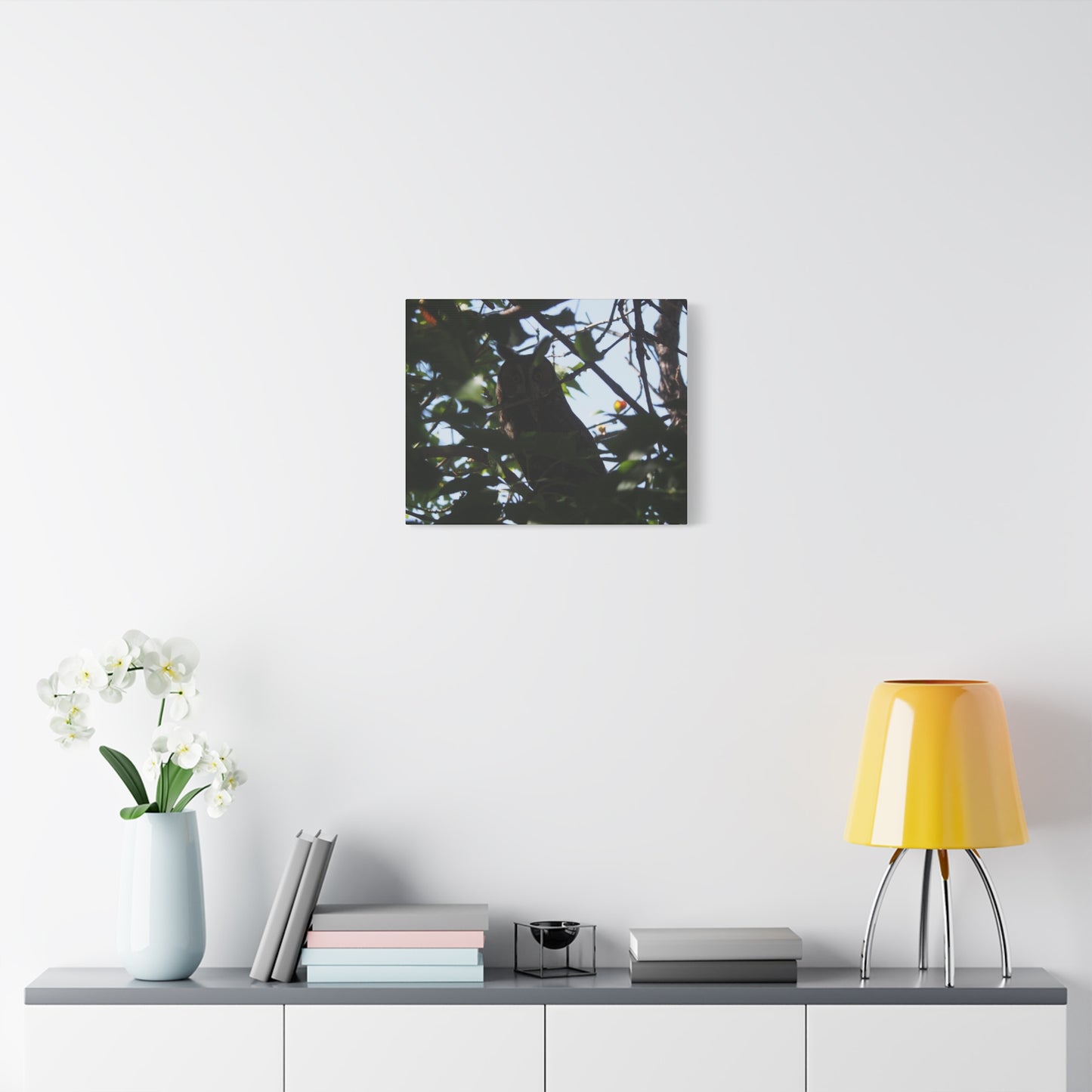 Canvas Print - Young Great Horned Owl Photo