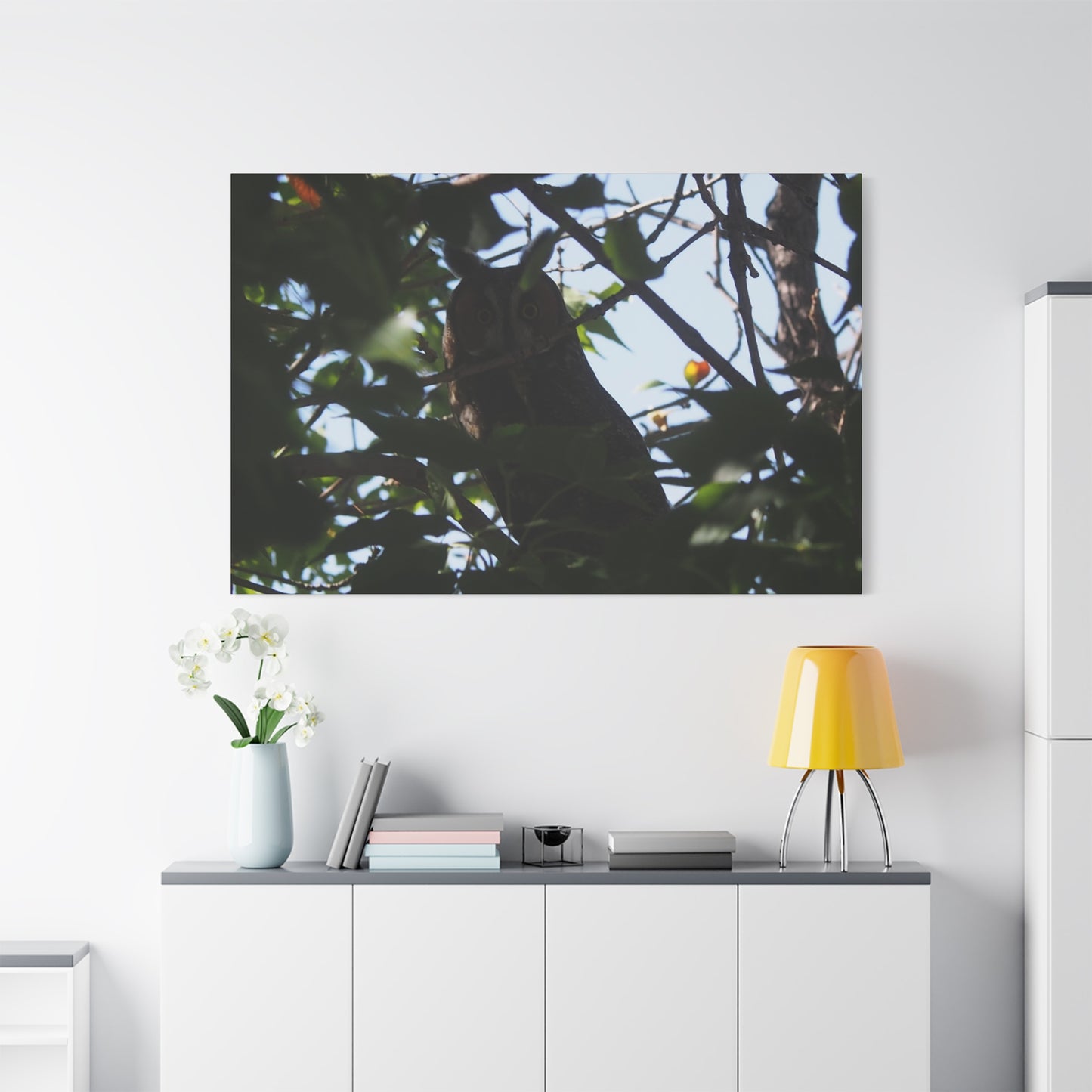 Canvas Print - Young Great Horned Owl Photo