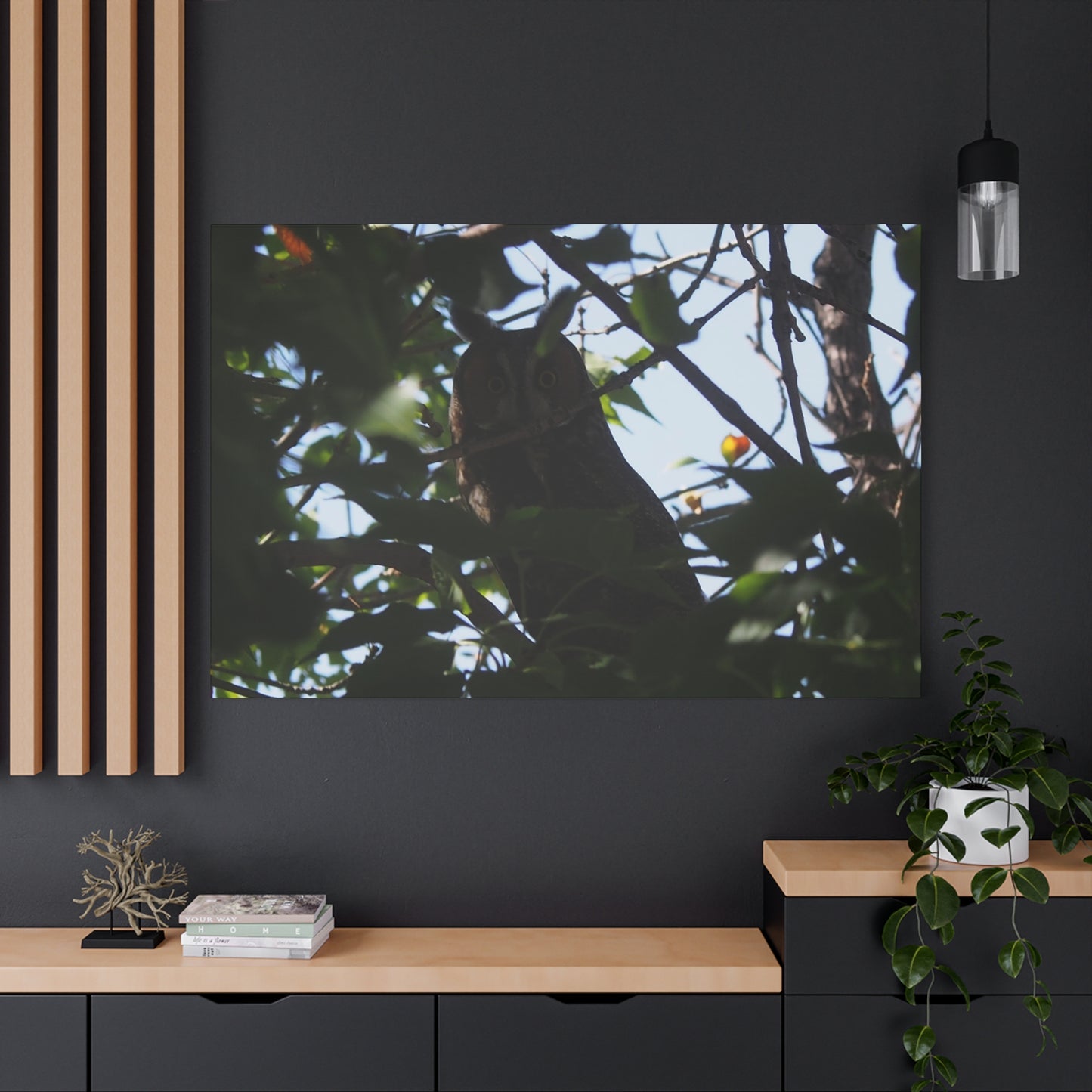 Canvas Print - Young Great Horned Owl Photo