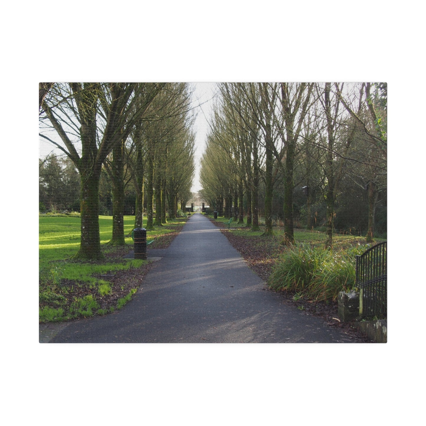 Irish Spring Park: Matte Canvas, Stretched, 0.75"