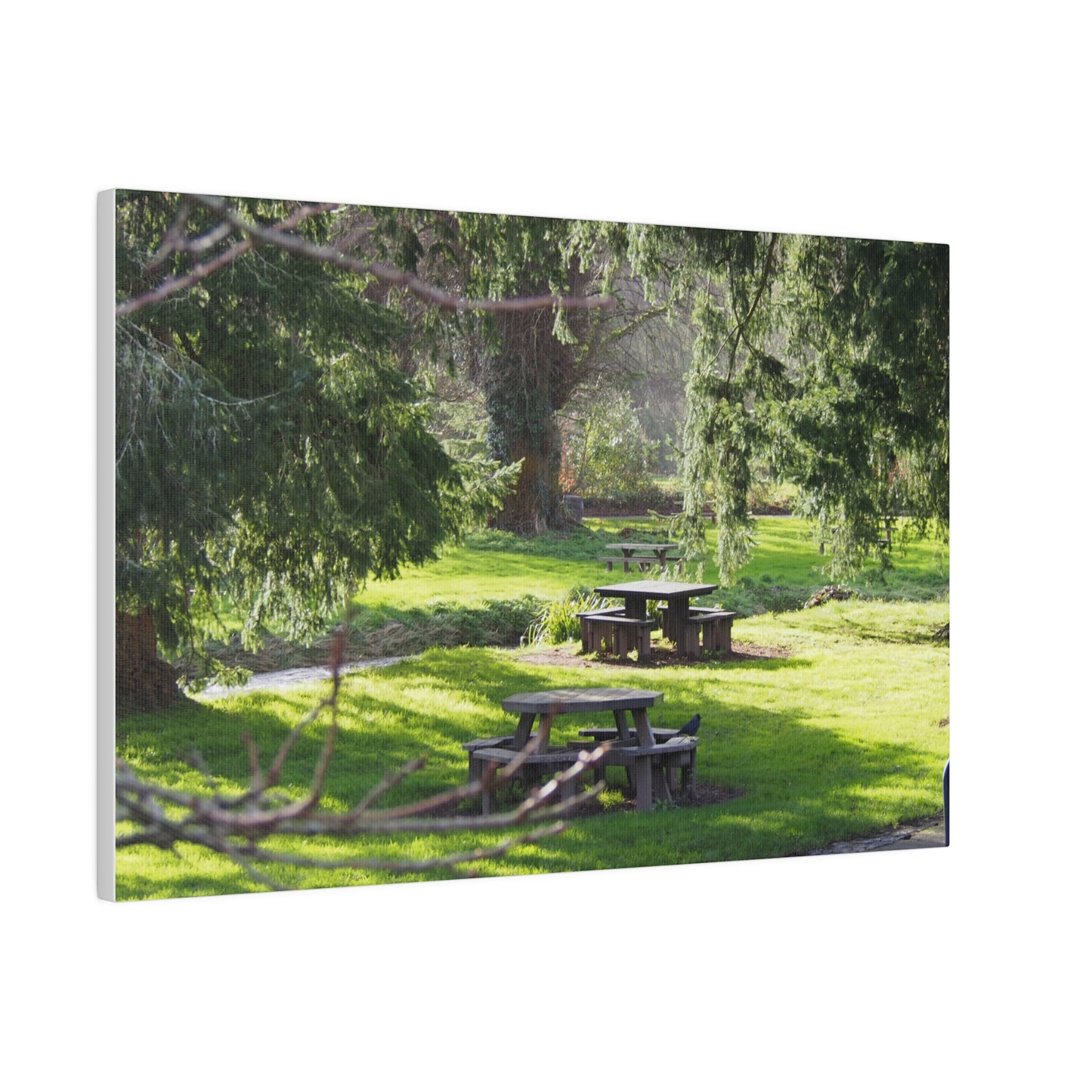 Irish Picnic: Matte Canvas, Stretched, 0.75"