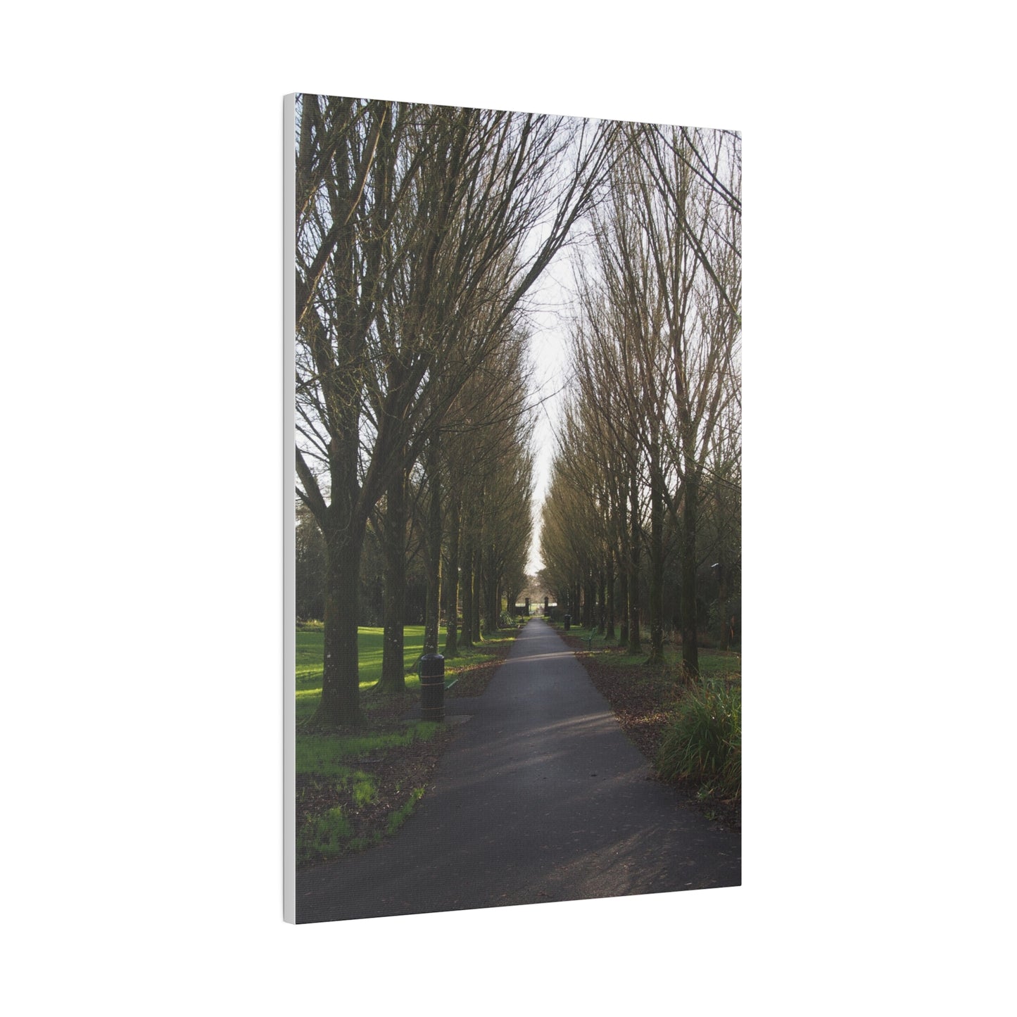 LONG PATH: Matte Canvas, Stretched, 0.75"