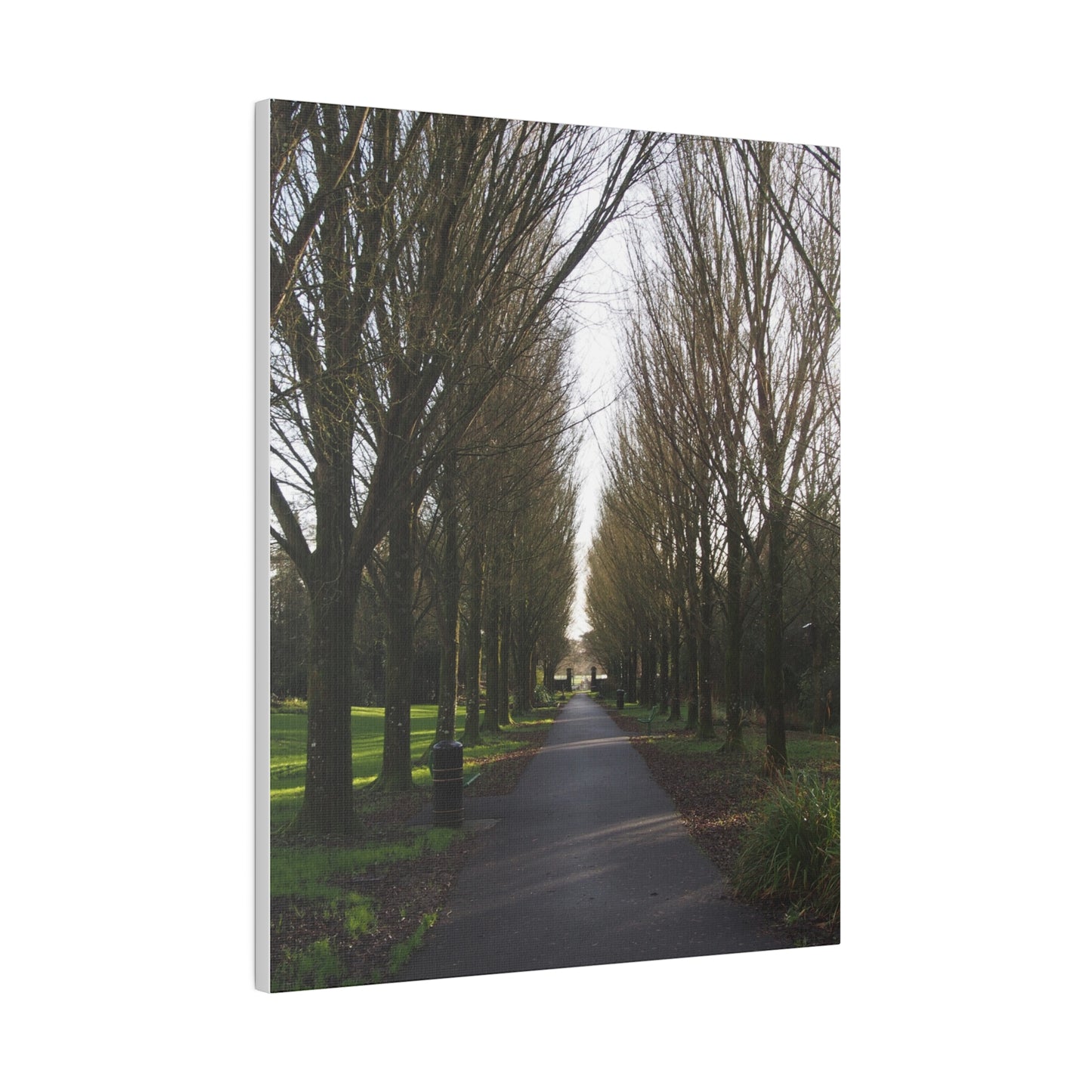 LONG PATH: Matte Canvas, Stretched, 0.75"