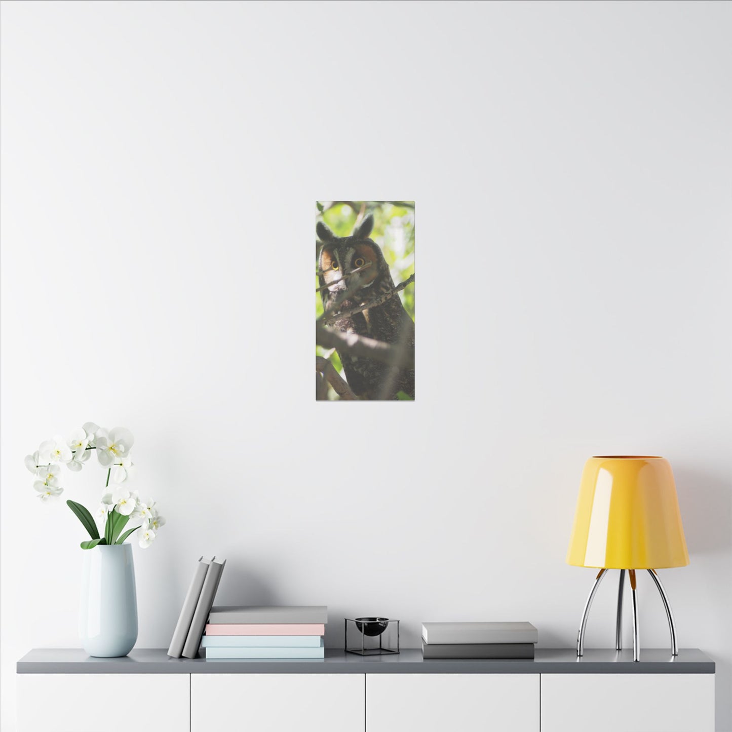 Canvas Print - Young Great Horned Owl Photo I Took